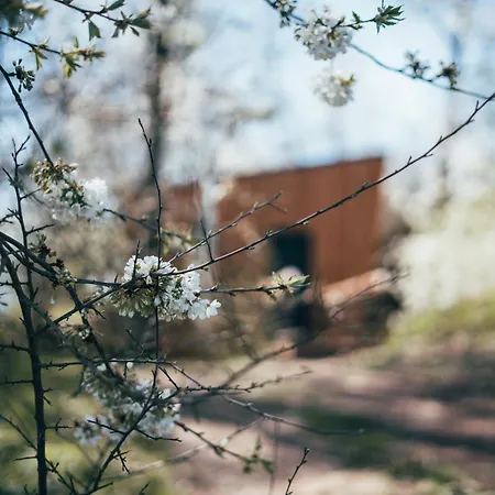 아파트 Rokle Tiny House Plandry